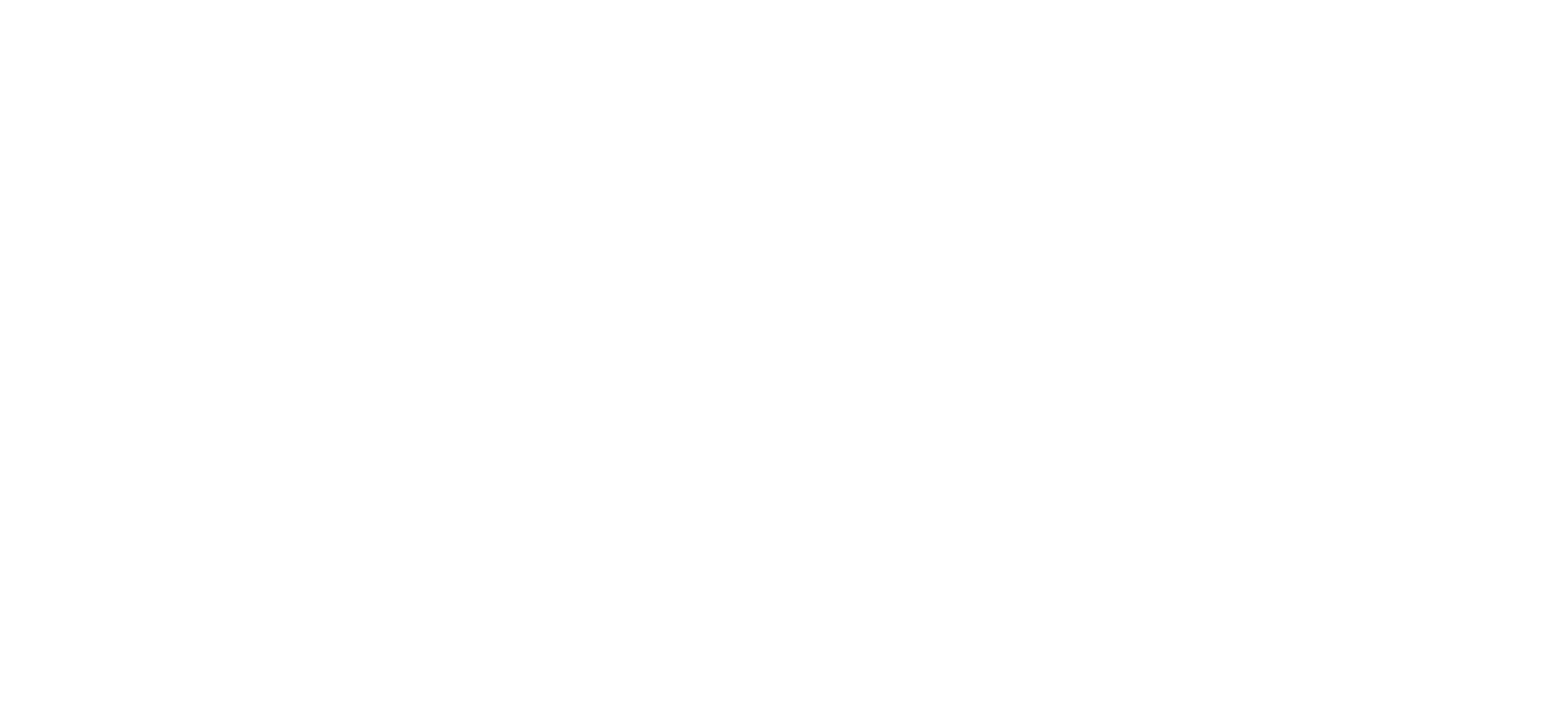 Xelerit Logo